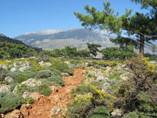 Greece-Crete-Hiking - Unforgettable West Crete